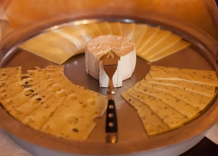 Gaestehaus Mezcalero Δρέσδη