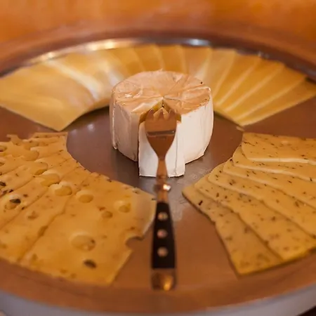 Gaestehaus Mezcalero Dresden